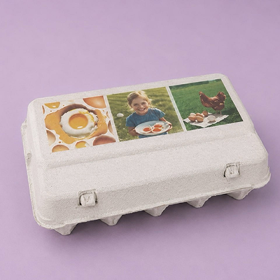 Egg Box No. 15
