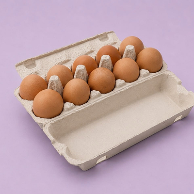 Egg Tray Vina10