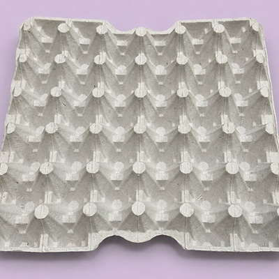 Tray No. 15