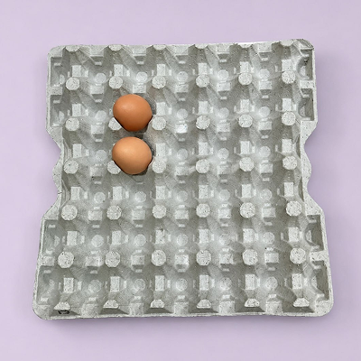 Tray No. 17