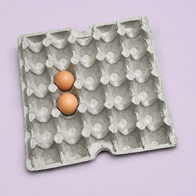 Tray No. 25