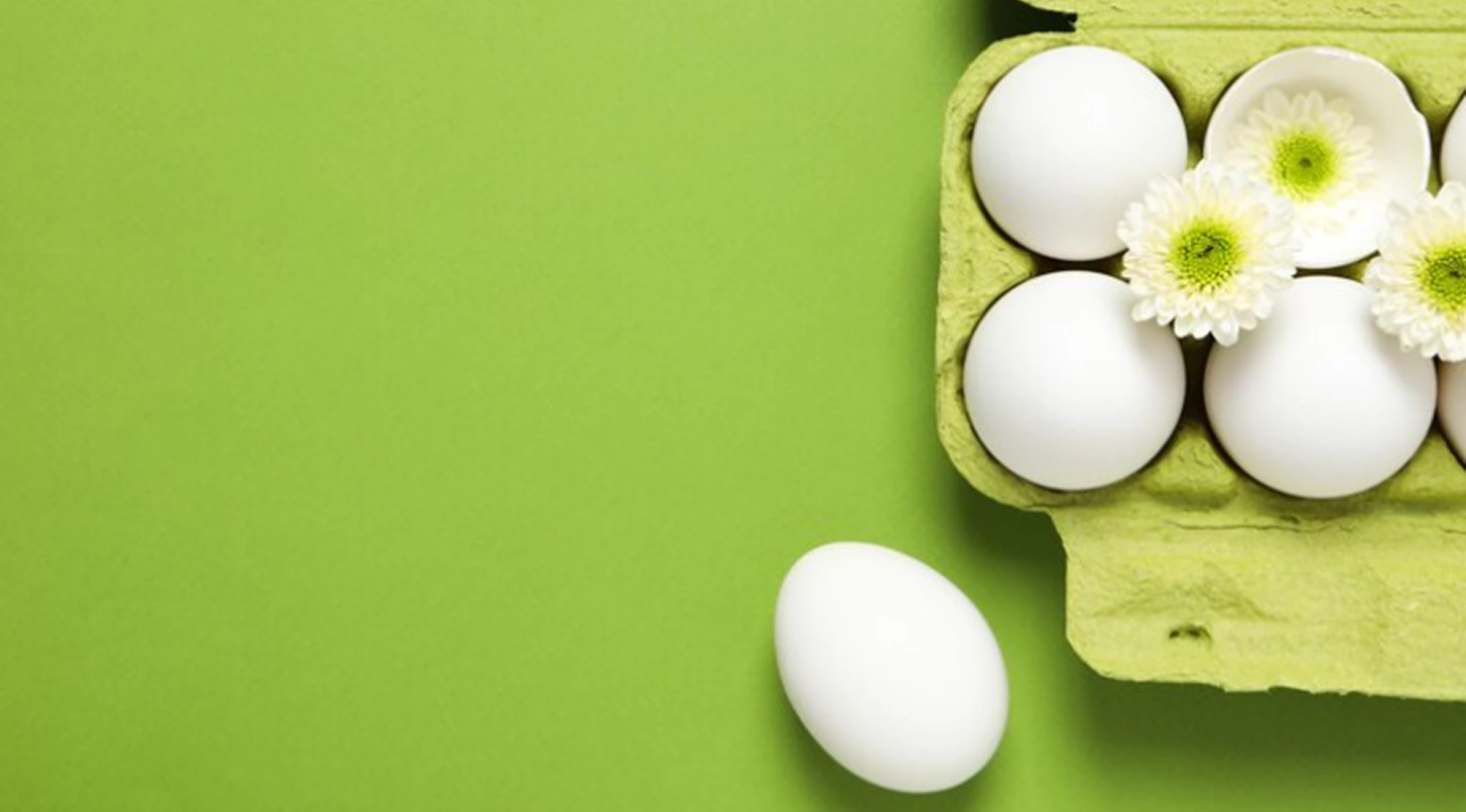 Reliable solutions for egg products